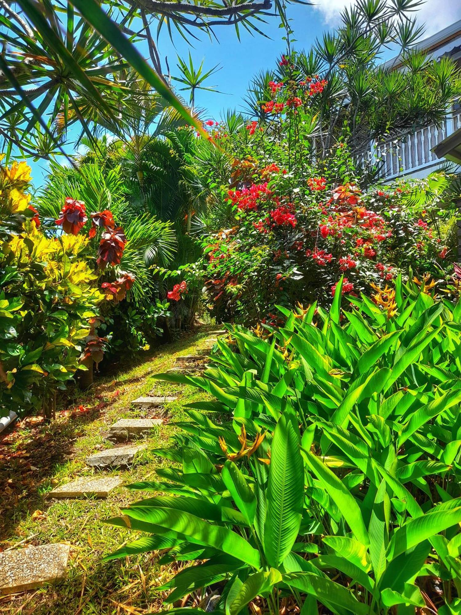 Studio Bwa Banbou Dans Villa Fleurs Des Iles Le Vauclin Zewnętrze zdjęcie